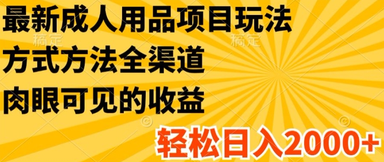 最新成人用品项目玩法，方式方法全渠道，轻松日入2K+【揭秘】_微雨项目网