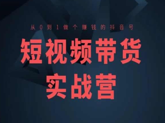 短视频带货实战营(高阶课)，从0到1做个赚钱的抖音号_微雨项目网