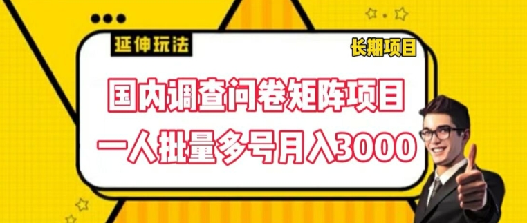 国内调查问卷矩阵项目，一人批量多号月入3000【揭秘】_微雨项目网