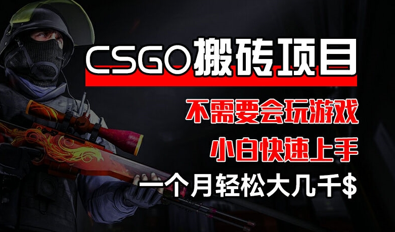 CSGO 装备搬砖项目，操作简单，不需要会玩游戏，小白也能快速上手，一个月轻松大几千【揭秘】_微雨项目网