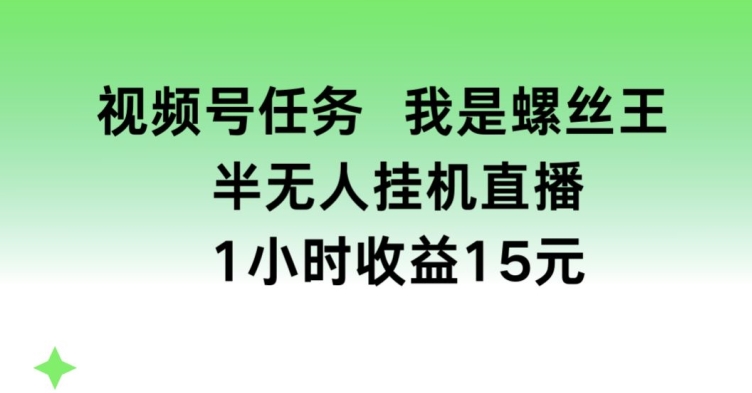 视频号任务，我是螺丝王， 半无人挂机1小时收益15元【揭秘】_微雨项目网