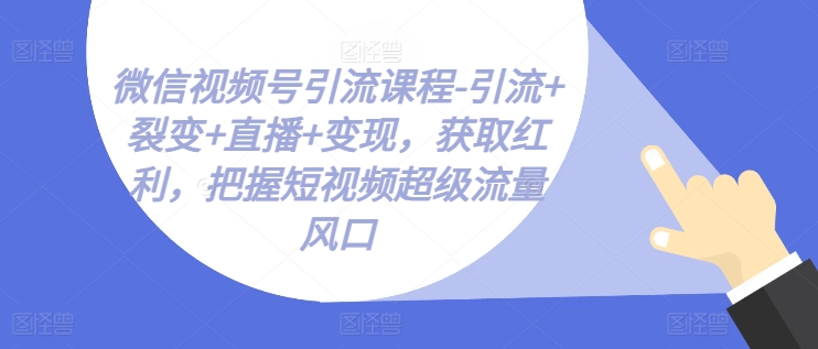 微信视频号引流课程-引流+裂变+直播+变现，获取红利，把握短视频超级流量风口_微雨项目网