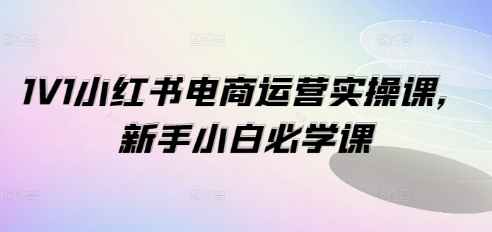 1V1小红书电商运营实操课，新手小白必学课_微雨项目网
