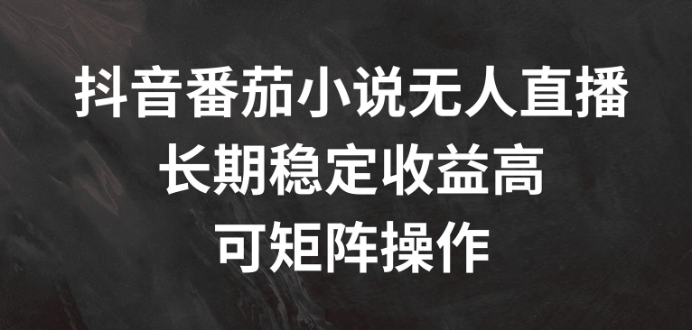 抖音番茄小说无人直播，长期稳定收益高，可矩阵操作【揭秘】_微雨项目网
