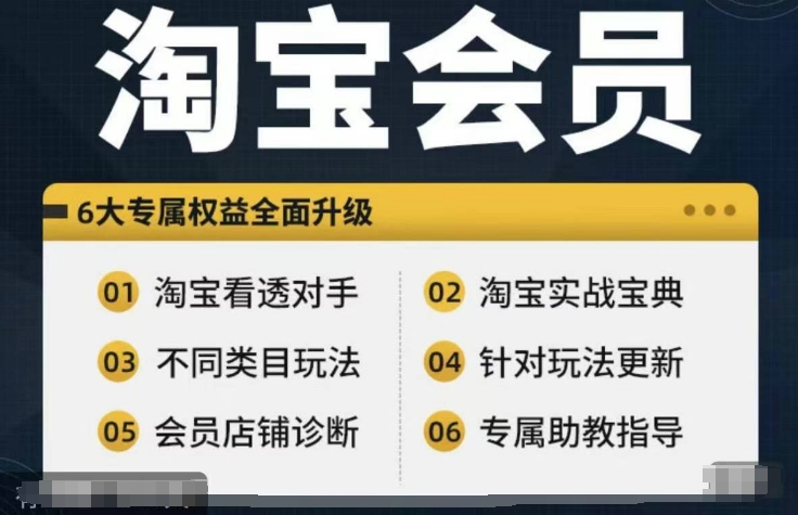 淘宝会员【淘宝所有课程，全面分析对手】，初级到高手全系实战宝典_微雨项目网
