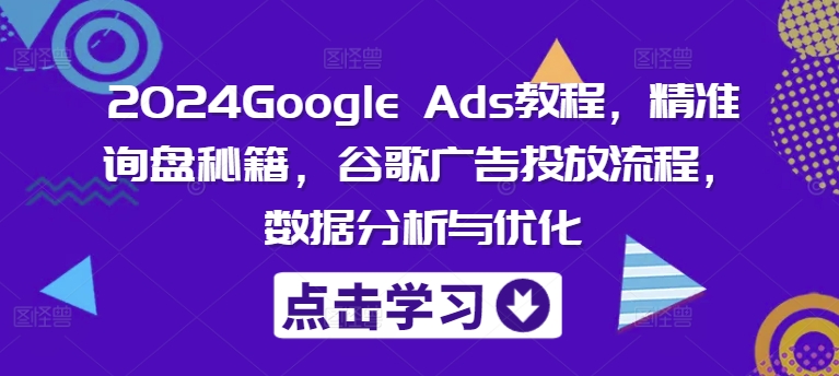 2024Google Ads教程，精准询盘秘籍，谷歌广告投放流程，数据分析与优化_微雨项目网