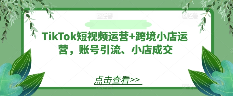 TikTok短视频运营+跨境小店运营，账号引流、小店成交_微雨项目网