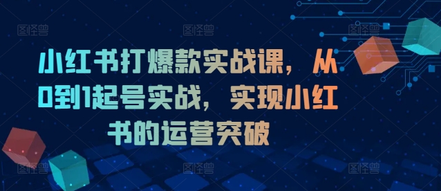 小红书打爆款实战课，从0到1起号实战，实现小红书的运营突破_微雨项目网
