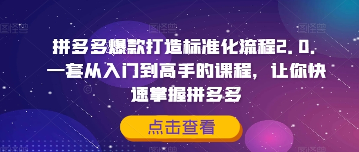拼多多爆款打造标准化流程2.0，一套从入门到高手的课程，让你快速掌握拼多多_微雨项目网