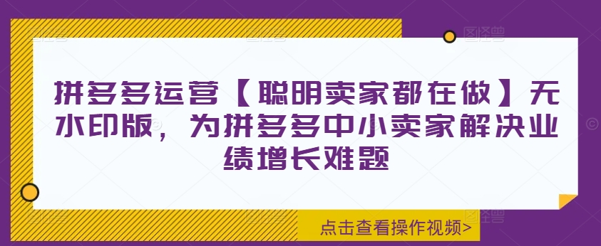 拼多多运营【聪明卖家都在做】无水印版，为拼多多中小卖家解决业绩增长难题_微雨项目网