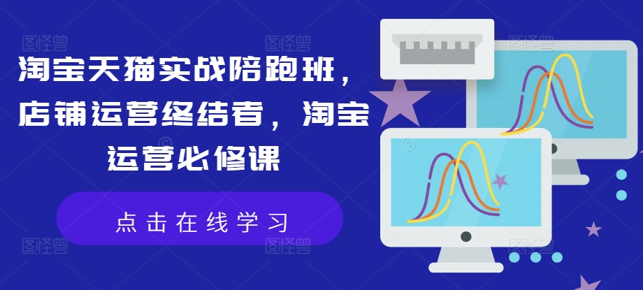 淘宝天猫实战陪跑班，店铺运营终结者，淘宝运营必修课_微雨项目网
