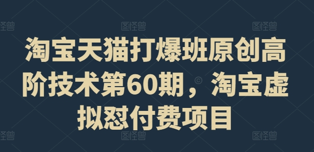 淘宝天猫打爆班原创高阶技术第60期，淘宝虚拟怼付费项目_微雨项目网