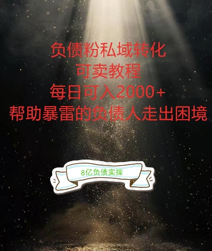 负债粉掘金计划，帮助负债者解决问题，债务规划，债务重组，最好的变现方式【揭秘】_微雨项目网
