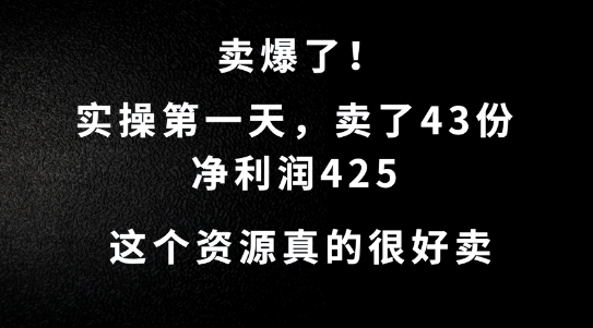 这个资源，需求很大，实操第一天卖了43份，净利润425【揭秘】_微雨项目网