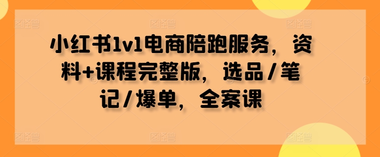 小红书1v1电商陪跑服务，资料+课程完整版，选品/笔记/爆单，全案课_微雨项目网