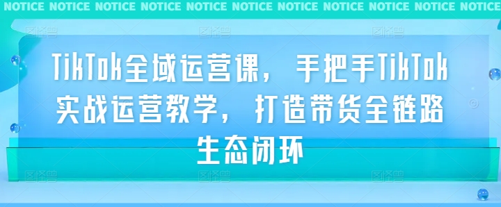 TikTok全域运营课，手把手TikTok实战运营教学，打造带货全链路生态闭环_微雨项目网