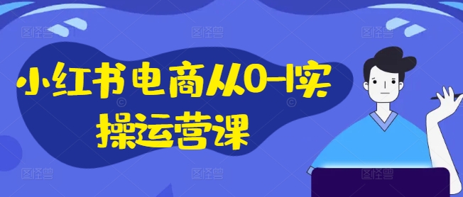 小红书电商从0-1实操运营课，小红书手机实操小红书/IP和私域课/小红书电商电脑实操板块等_微雨项目网