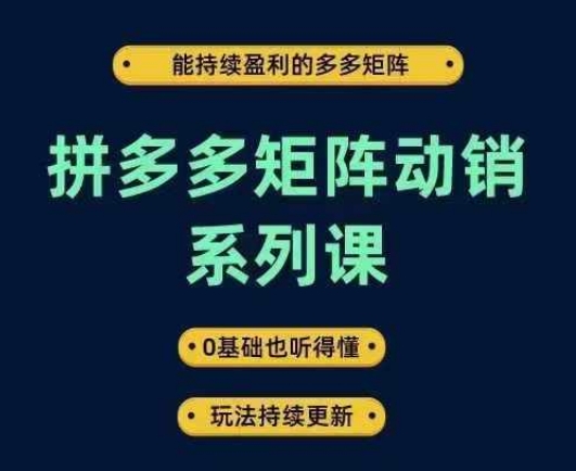 拼多多矩阵动销系列课，能持续盈利的多多矩阵，0基础也听得懂，玩法持续更新_微雨项目网