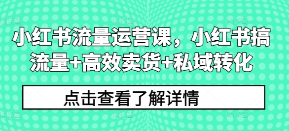 小红书流量运营课，小红书搞流量+高效卖货+私域转化_微雨项目网