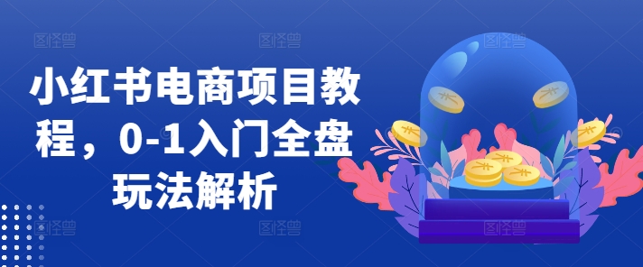 小红书电商项目教程，0-1入门全盘玩法解析_微雨项目网