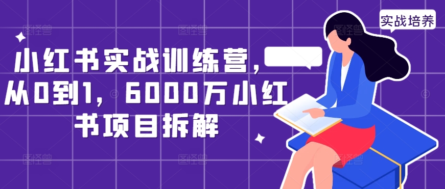 小红书实战训练营，从0到1，6000万小红书项目拆解_微雨项目网