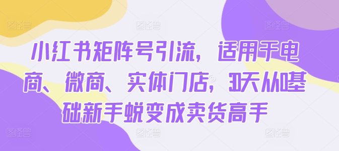 小红书矩阵号引流，适用于电商、微商、实体门店，30天从0基础新手蜕变成卖货高手_微雨项目网