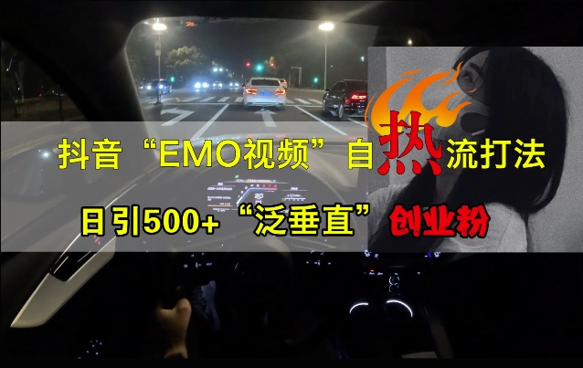 抖音EMO视频自热打法，日引500+“泛垂直”创业粉_微雨项目网