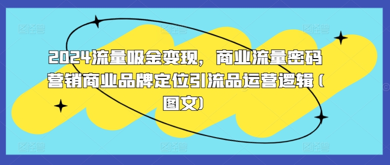 2024流量吸金变现，商业流量密码营销商业品牌定位引流品运营逻辑(图文)_微雨项目网