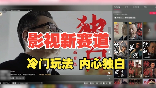 最新影视解说玩法，人物独白，30天涨粉24万+，全流程拆解【揭秘】_微雨项目网