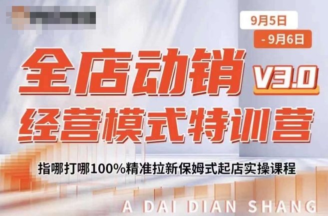 全店动销经营模式特训营，指哪打哪100%精准拉新保姆式起店实操课程_微雨项目网