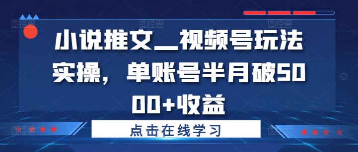 小说推文—视频号玩法实操，单账号半月破5000+收益_微雨项目网