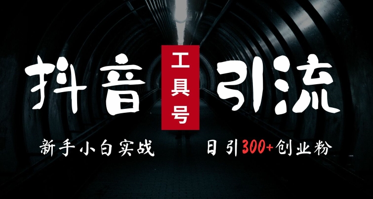 2024最新抖音工具号引流玩法，高效日引300+创业粉，当天变现5k，小白也可成为实战高手_微雨项目网
