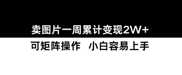 小红书【卖图片】一周累计变现2W+小白易上手_微雨项目网