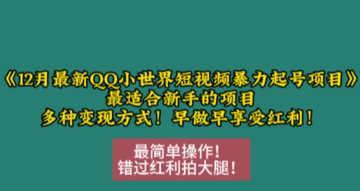 12月最新QQ小世界短视频暴力起号项目，最适合新手的项目，多种变现方式_微雨项目网