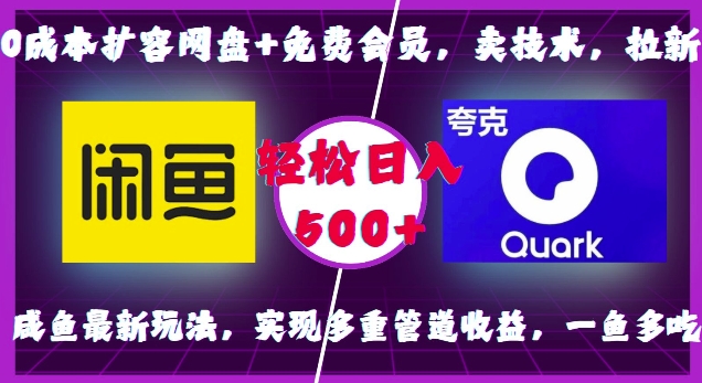 0成本扩容网盘+免费会员，卖技术，拉新，咸鱼最新玩法，实现多重管道收益，一鱼多吃，轻松日入500+_微雨项目网