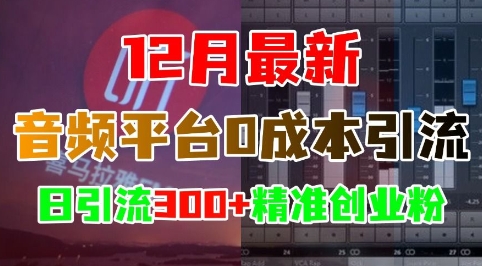 12月最新：音频平台0成本引流，日引流300+精准创业粉_微雨项目网