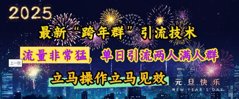 最新“跨年群”引流，流量非常猛，单日引流两人满人群，立马操作立马见效【揭秘】_微雨项目网