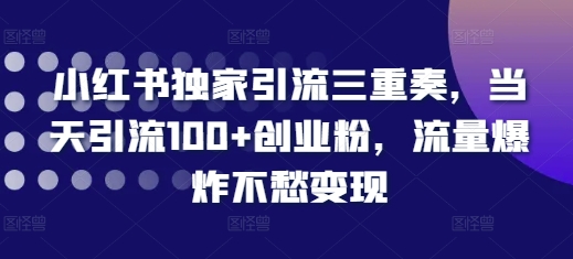 小红书独家引流三重奏，当天引流100+创业粉，流量爆炸不愁变现【揭秘】_微雨项目网