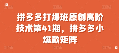拼多多打爆班原创高阶技术第41期，拼多多小爆款矩阵_微雨项目网