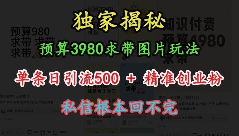 预算3980求带 图片玩法，单条日引流500+精准创业粉，私信根本回不完_微雨项目网