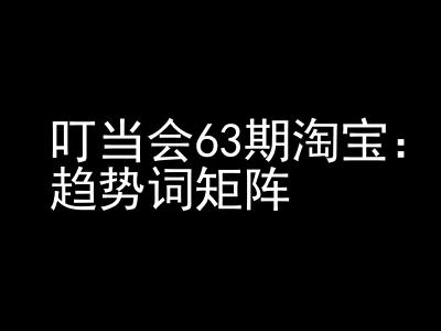 《淘宝天猫打爆班》原创高阶技术第63期，趋势词矩阵技术和玩法_微雨项目网