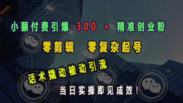 小额付费引爆 300 + 精准创业粉，零剪辑、零复杂起号，话术撬动被动引流，当日实操即见成效_微雨项目网