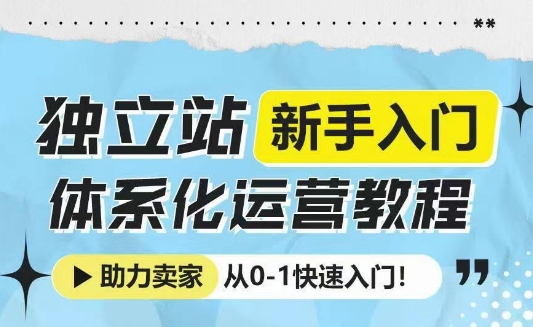 独立站新手入门体系化运营教程，助力独立站卖家从0-1快速入门!_微雨项目网