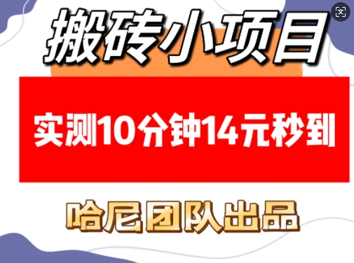 搬砖小项目，实测10分钟14元秒到，每天稳定几张(赠送必看稳定)_微雨项目网