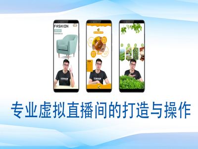 个人虚拟直播间的搭建与操作，专业虚拟直播间的打造与操作_微雨项目网