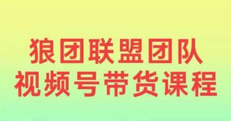 狼团联盟2024视频号带货，0基础小白快速入局视频号_微雨项目网
