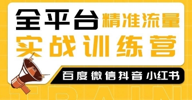 全平台精准流量实战训练营，百度微信抖音小红书SEO引流教程_微雨项目网