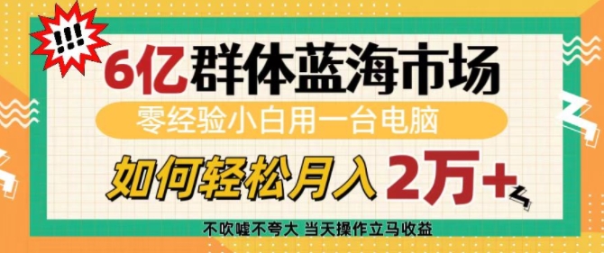 6亿群体蓝海市场，零经验小白用一台电脑，如何轻松月入过w【揭秘】_微雨项目网