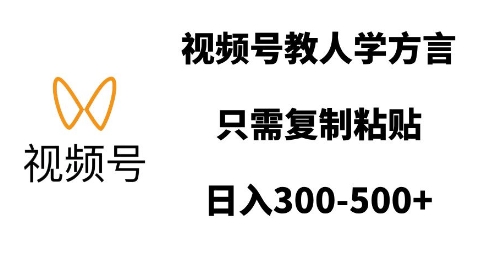 视频号教人学方言，只需复制粘贴，日入多张_微雨项目网