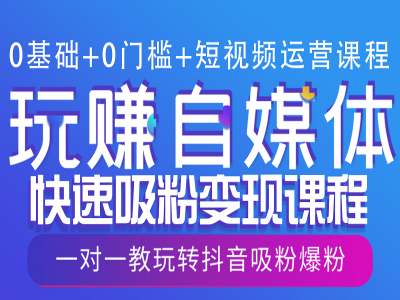 0基础+0门槛+短视频运营课程，玩赚自媒体快速吸粉变现课程，一对一教玩转抖音吸粉爆粉_微雨项目网